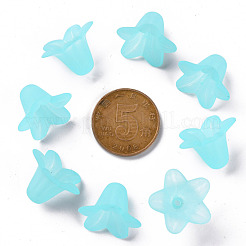 Прозрачные акриловые бусины&nbsp;PLF018-13