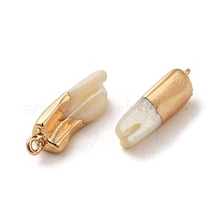 Подвески из натуральных ракушек trochus&nbsp;SSHEL-H071-04KCG