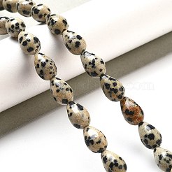 Природные яшмы далматин бисер нитей&nbsp;G-B106-A29-02