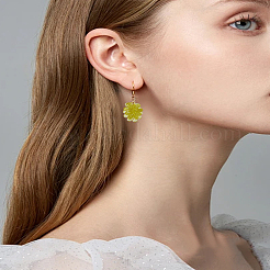 4шт 2 цвета подвески из смолы&nbsp;INS-LP0001-01