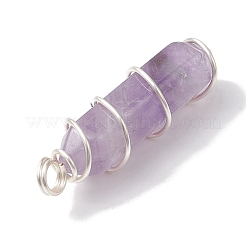 Pendentifs pointus à double borne en améthyste naturelle&nbsp;PALLOY-JF02673-01