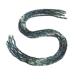 Brins de perles de tourmaline bleue naturelle&nbsp;G-G294-A02-3mm-01