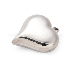 Подвески из нержавеющей стали 304&nbsp;LS-STAS-Q349-02E-P