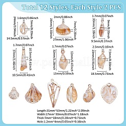 24 шт. 12 стиля акриловых имитационных ракушек подвески&nbsp;OACR-UN0001-05