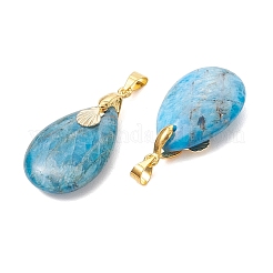 Natürliche Apatit Pendants&nbsp;PALLOY-JF05729