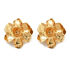 Boucles d'oreille en alliage&nbsp;EJEW-D300-02G-06