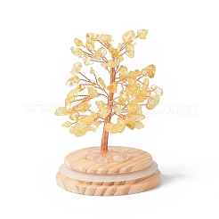 Albero dei soldi con trucioli di quarzo giallo naturale in campane di vetro a cupola con decorazioni espositive con base in legno&nbsp;DJEW-B007-04F