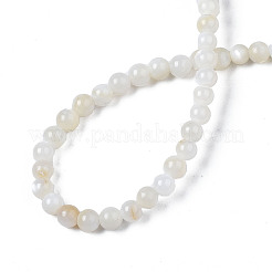 Eau douce naturelle de coquillage perles brins&nbsp;X-BSHE-T009A-01A