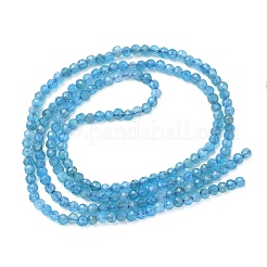 Natürliche Apatit Perlen Stränge&nbsp;G-Z160-A01-2mm