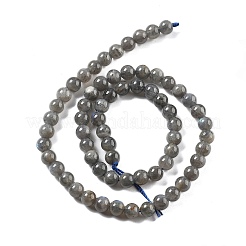 Perline labradorite naturale fili&nbsp;LS-G-S333-6mm-035-01