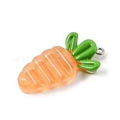 Anhänger aus transparentem Kunstharz in Form von Obst und Gemüse&nbsp;RE-CBAB567-01