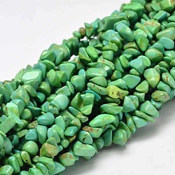 Brins de perles de magnésite naturelle teints en copeaux et chauffés, lime green, 5~14x5~10mm, Trou: 1mm, environ 33.85 pouce