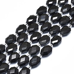 Fili di perle di ossidiana di mogano nero naturale, sfaccettato, rettangolo, 14x10x6mm, Foro: 1 mm, circa 22pcs/filo, 15.35 pollice (39 cm)