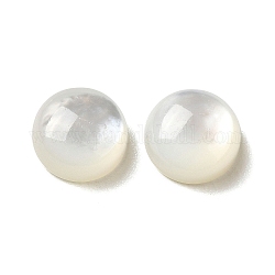 Cabuchones de conchas blancas naturales, medio redondo / cúpula, whitesmoke, 8x3.5mm