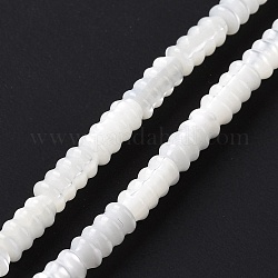 Fili di perle di conchiglia trochid naturale / trochus, rondelle, bianco, 8x4mm, Foro: 0.9 mm, circa 49pcs/filo, 15.35 pollice (39 cm)