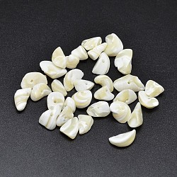 Pepitas de concha natural teñidas chips cuentas, crema, 9~14x6~10mm, agujero: 1 mm, aproximamente 560 unidades / 500 g