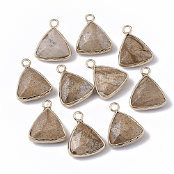 Natural Picture Jasper Pendants, with Golden Tone Brass Open Back Bezel, Faceted, Triangle, 19x16x6mm, Hole: 2mm
