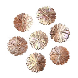 Бусины из натуральных морских раковин, цветок, 24~24.5x1~1.5 мм, отверстие : 1.6 мм