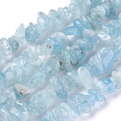 Chapelets de perles en aigue-marine naturelle, puce, 4~11x3.5~7x2~4.5mm, Trou: 1mm, Environ 156~162 pcs/chapelet, 15.35 pouce ~ 15.62 pouces (39~39.7 cm)