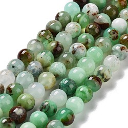Brins naturels de perles de chrysoprase, ronde, grade AB, 6mm, Trou: 0.9mm, Environ 66~67 pcs/chapelet, 15.55~15.67 pouce (39.5~39.8 cm)