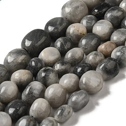 Chapelets de perles en zèbre naturel, pépites, pierre roulée, 12~17x8~16x8~15mm, Trou: 1mm
