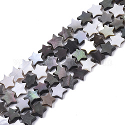 Brins de perles de coquille de lèvre noire naturelle, étoiles du nord, 6x6x2mm, Trou: 0.7mm, Environ 74 pcs/chapelet, 15.75 pouce (40 cm)