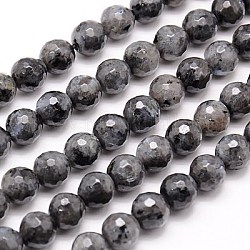 Natural Larvikite Beads Strands, Faceted, Round, Gray, 6mm, Hole: 1mm, about 63pcs/strand, 15.55 inch
