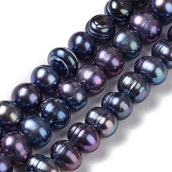 Hebras de cuentas teñidas de perlas naturales, redondo, azul oscuro, 8.5~9.5mm, agujero: 0.5 mm, aproximamente 50 pcs / cadena, 15.75'' (40 cm)