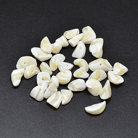 Gefärbte natürliche Muschel-Nuggets-Chips-Perlen BSHE-O007-03E-1