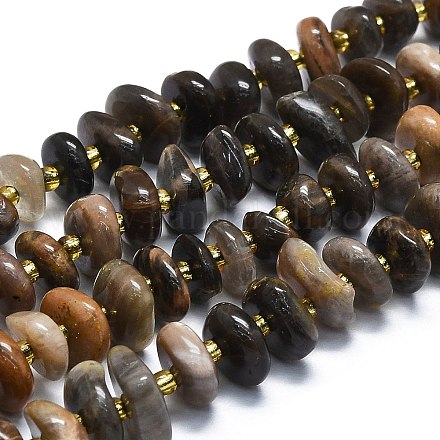 Natural Blcak Moonstone Beads Strands G-K245-H07-01-1