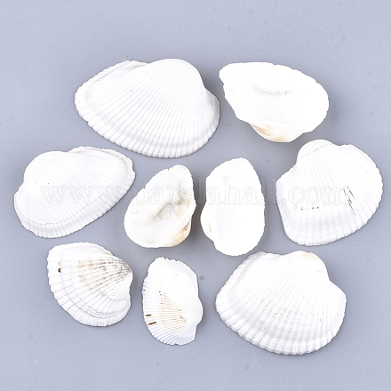 Clam shell perles SSHEL-S258-43-1