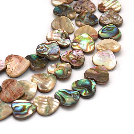 Natural Paua Shell Beads SSHEL-R038-28-1