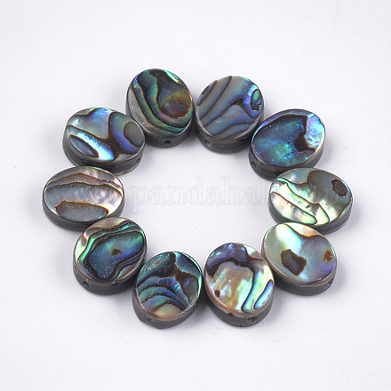 Abalone shell / paua shell beads X-SSHEL-T008-04-1