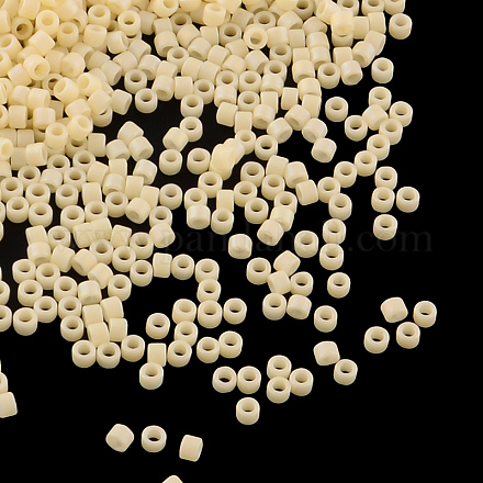 Perles miyuki delica X-SEED-R015-883-1