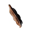 Natural Tiger Eye Carved Feather Figurines Statues for Home Office Desktop Decoration, 90~110mm