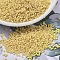 MIYUKI Delica Beads, Cylinder, Japanese Seed Beads, 11/0, (DB1581) Matte Opaque Pear, 1.3x1.6mm, Hole: 0.8mm, about 20000pcs/bag, 100g/bag