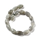 Natural Labradorite Beads Strands G-P520-C08-01-3