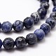 Natural Sodalite Beads Strands X-G-D840-19-8mm-3