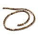 Chapelets de perles en jaspe avec images naturelles G-M420-H10-03-3