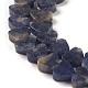 Natural Sodalite Beads Strands G-M403-A08-3