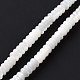 Chapelets de perles de coquille de trochid / trochus coquille SHEL-F002-03-1