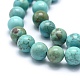Chapelets de perles teintées en turquoise naturelle G-G768-02-10mm-2