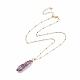Double Pointed Natural Amethyst Pendant Necklace NJEW-JN03720-02-3