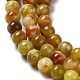 Chapelets de perles en serpentine naturelle G-H298-A10-01-4