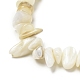 Chapelets de perles de coquillage naturel BSHE-G029-01B-3