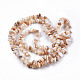 Eau douce naturelle de coquillage perles brins SHEL-N026-210-2