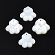 Natural White Shell Charms SSHEL-S258-98A-1