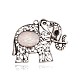 Argento antico placcato lega resina elefante grandi ciondoli PALLOY-J546B-01AS-1