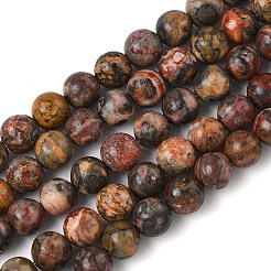 Натуральные леопардовые шкурки из яшмы&nbsp;G-J358-05-6mm