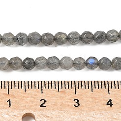 Природные лабрадорита бисер нитей&nbsp;G-G213-4mm-03